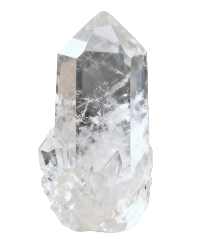 For Vitality & Well-Being